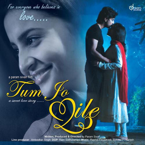 Tum Jo Mile Full Movie (2013) Watch Online HD Download