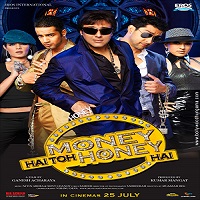 Money Hai Toh Honey Hai (2008) Hindi Full Movie Watch Online HD Download