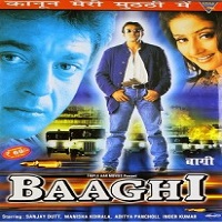 Baaghi (2000) Watch Full Movie Online DVD Free Download