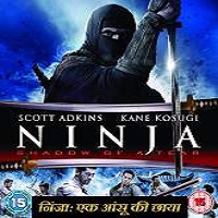 Ninja Shadow of a Tear 2013 Hindi Dubbed Full Movie