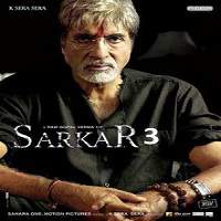 Sarkar 3 (2017) Full Movie