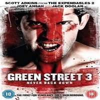 Green Street 3 Never Back Down 2013 Hindi Dubbed Full Movie