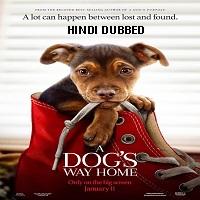 A Dogs Way Home 2019 Hindi Dubbed Full Movie