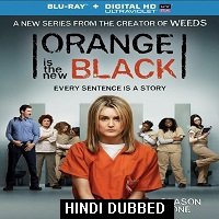 Orange Is the New Black (2013) Hindi Dubbed Season 1