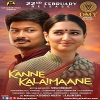 Kanne Kalaimaane (Hum Sanam Kanne 2019) Hindi Dubbed Full Movie Watch Free Download