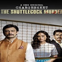 The Chargesheet: Innocent or Guilty (2020) Hindi Season 1 Watch Online HD Free Download