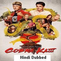 Cobra Kai (2021) Hindi Season 3 Complete Netflix Watch Online HD Print Free Download