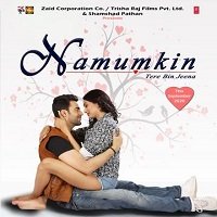 Namumkin Tere Bin Jeena (2020) Hindi Full Movie Watch Online HD Free Download