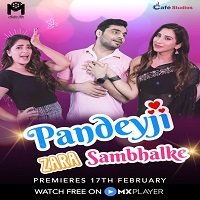 Pandeyji Zara Sambhalke (2021) Hindi Season 1 Complete Watch Online HD Free Download