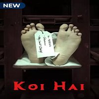 Koi Hai (2021) Hindi Season 1 Complete Watch Online HD Print Free Download