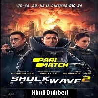 Shock Wave 2 (2020) Unofficial Hindi Dubbed Full Movie