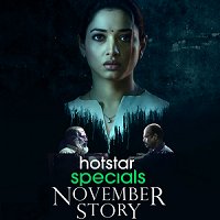 November Story (2021) Hindi Season 1 Complete Watch Online