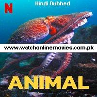 Animal (2021) Hindi Dubbed Season 1 Complete Watch Online HD Free Download