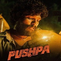 Pushpa The Rise (2021) Hindi Dubbed Full Movie Watch Online HD Print Free Download