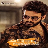 Nenu Meeku Baaga Kavalsinavaadini (2022) Unofficial Hindi Dubbed Full Movie Watch Online HD Print Free Download