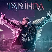 Parinda Paar Geyaa (2023) Punjabi Full Movie Watch Online HD Print Free Download