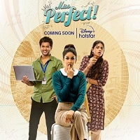 Miss Perfect (2024) Hindi Season 1 Complete Watch Online