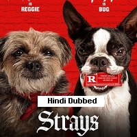 Strays (2023) Hindi Dubbed Full Movie Watch Online