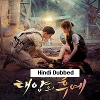 Descendants of the Sun (2016) Hindi Dubbed Season 1 Complete Watch Online