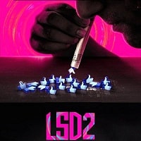 LSD 2 Love Sex aur Dhokha 2 (2024) Hindi Full Movie Watch Online HD Print Free Download
