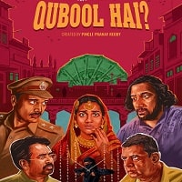 Qubool Hai (2022) Hindi Season 1 Complete Watch Online HD Print Free Download