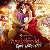 Aankhon ki Gustaakhiyan (2025) Hindi
