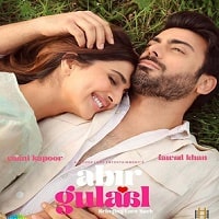 Abir Gulaal (2025) Hindi Full Movie Watch Online