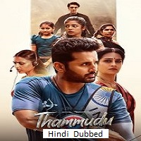Thammudu (2025) Hindi Dubbed Full Movie Watch Online HD Print Free Download
