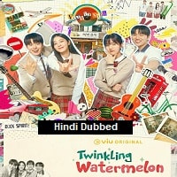 Twinkling Watermelon (2025) Hindi Dubbed Season 1 Complete Watch Online
