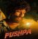 Pushpa The Rise (2021) Hindi Dubbed Full Movie Watch Online